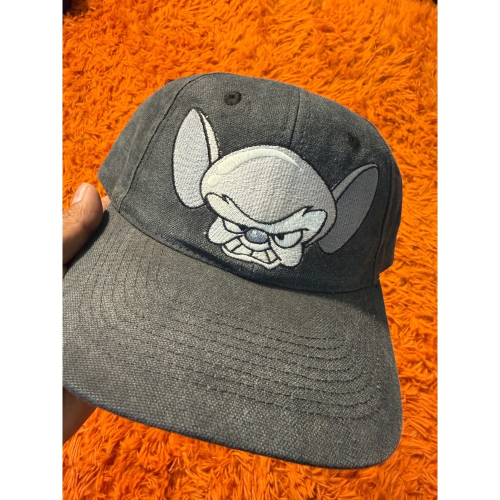 Vintage 1995 Animaniacs The Brain Snapback Hat Head Start Gray Warner Bros Cap